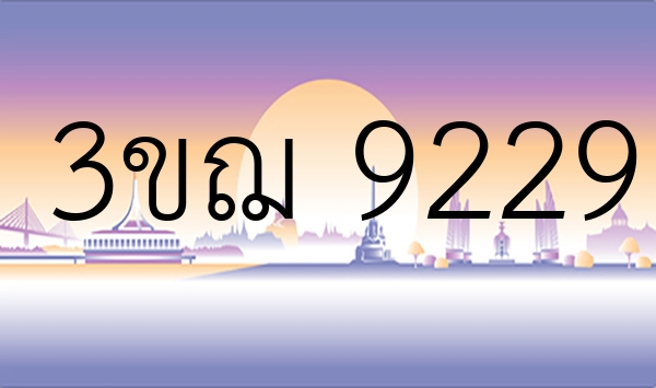 3ขฌ 9229